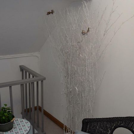 Au Bobeli'Nid - Gite Citadin Au Coeur De Spa Eksteriør bilde